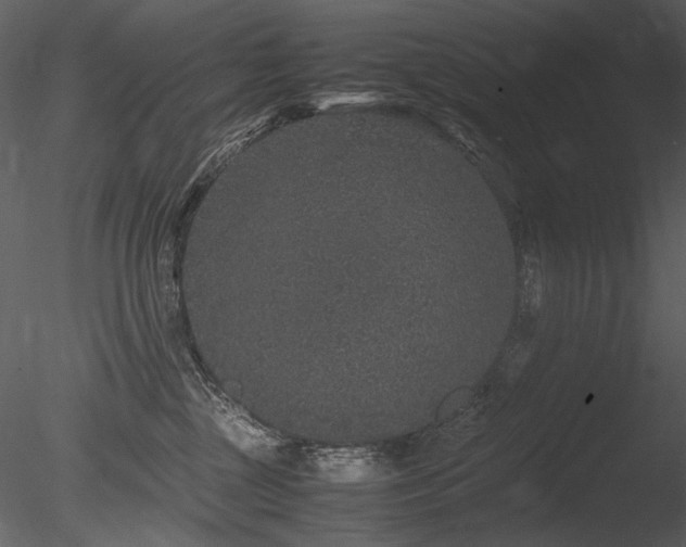 X0000085810377200703161202