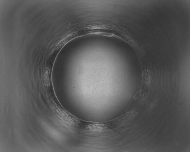 X0000085810378200703161202