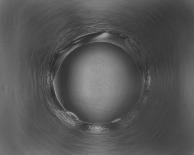 X0000085810380200703161202