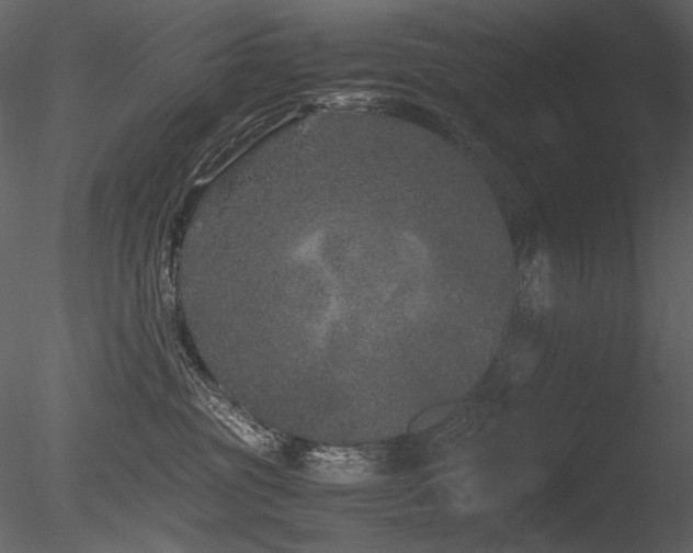 X0000085810381200703161202