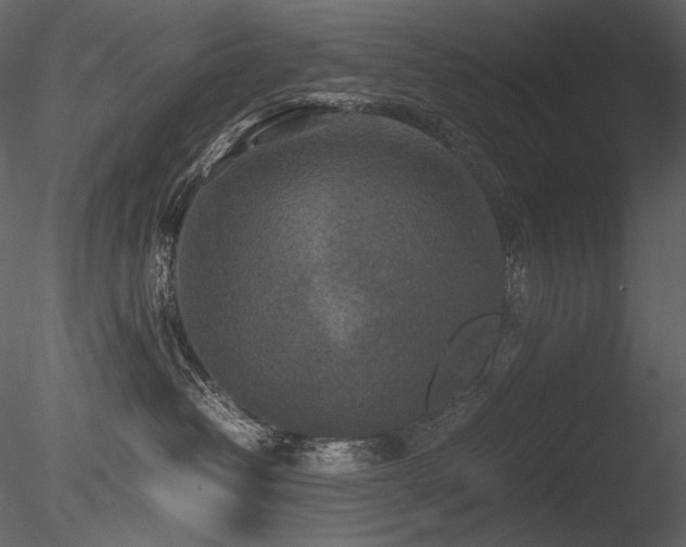 X0000085810382200703161202