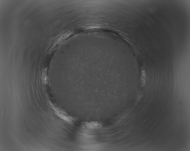 X0000085810383200703161202