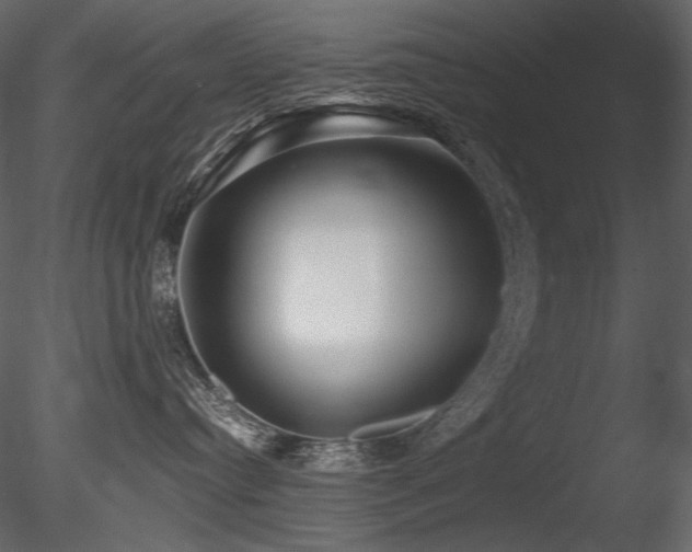 X0000085810384200703161202