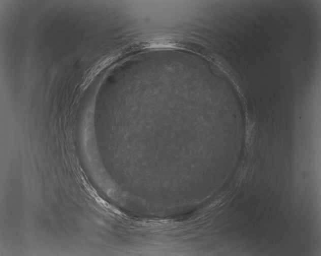 X0000085810385200703161201