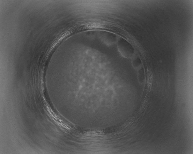 X0000085810386200703161201