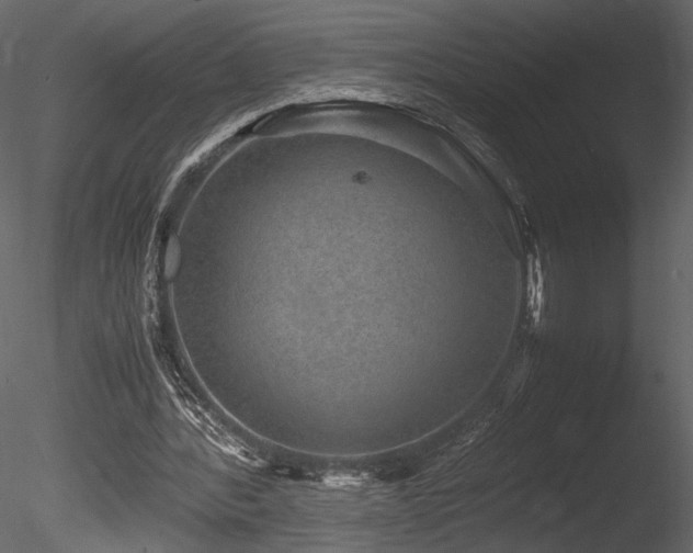 X0000085810388200703161201