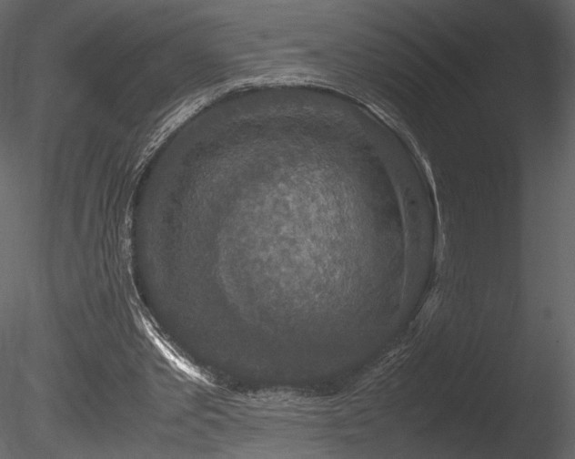 X0000085810389200703161201