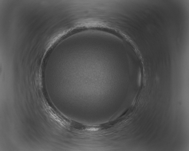 X0000085810391200703161201