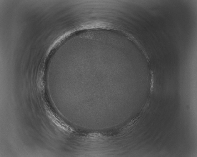 X0000085810392200703161201