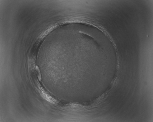 X0000085810393200703161201