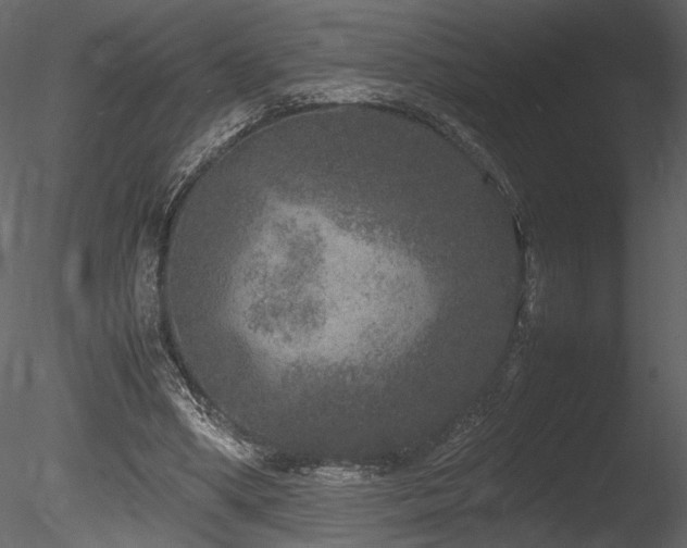 X0000085810394200703161201