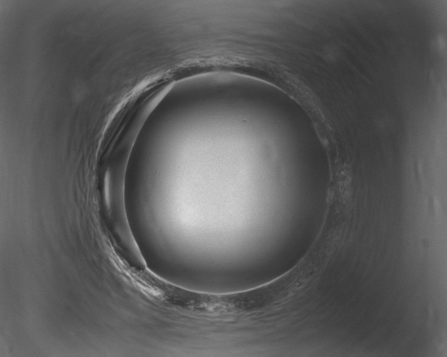 X0000085810395200703161201