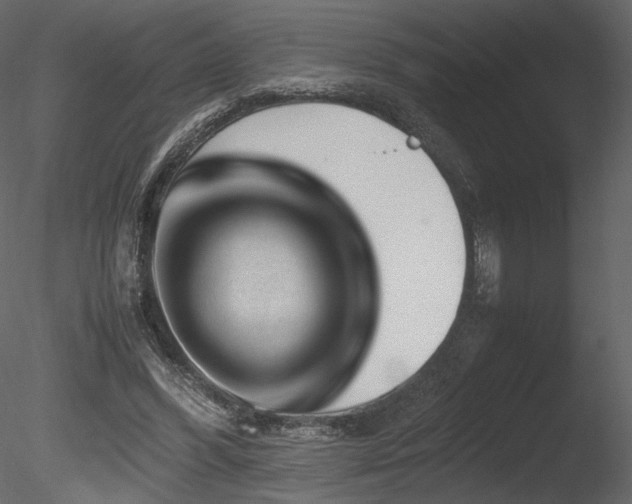 X0000085810396200703161201