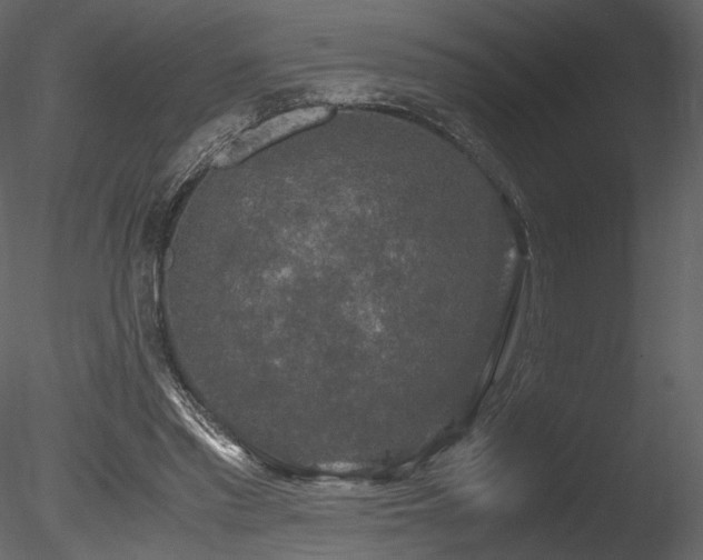 X0000085810397200703161201