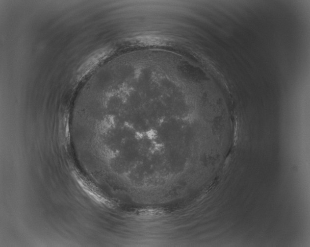 X0000085810398200703161201