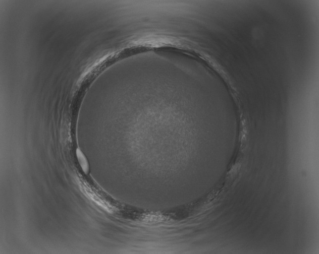 X0000085810399200703161201