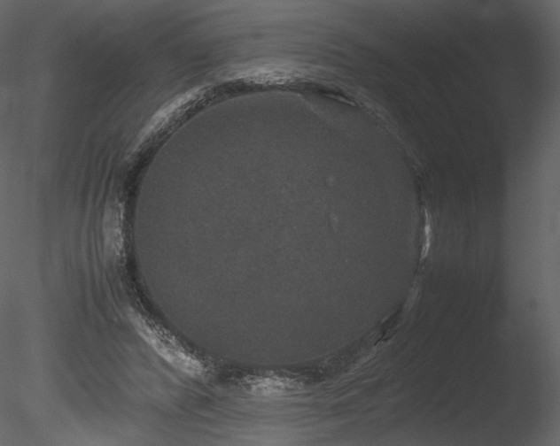 X0000085810400200703161201