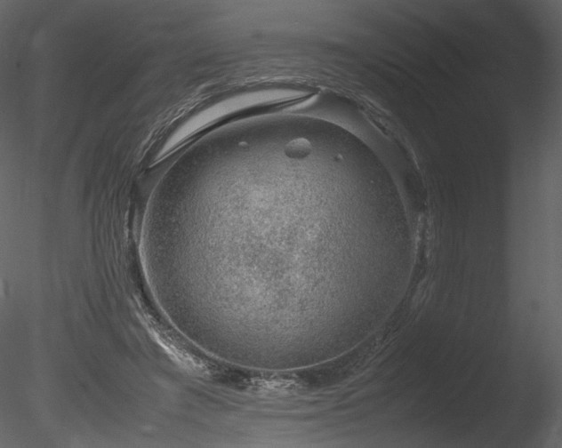 X0000085810401200703161201