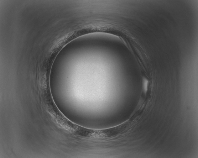 X0000085810403200703161201