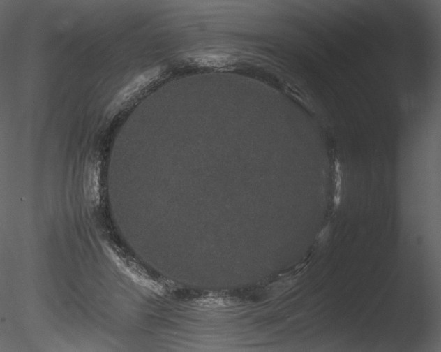 X0000085810404200703161201