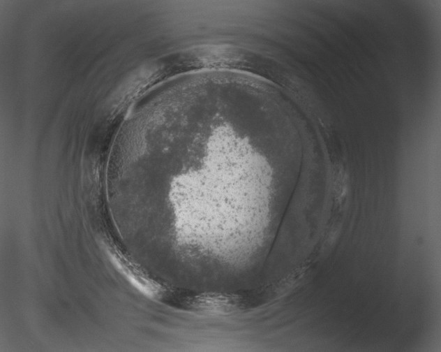 X0000085810405200703161201