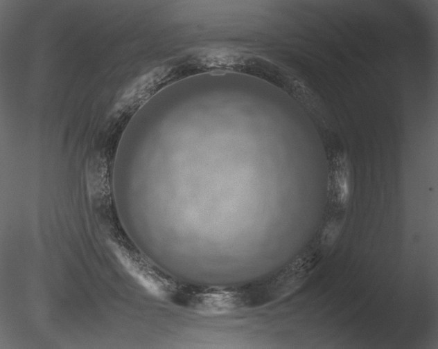 X0000085810411200703161201