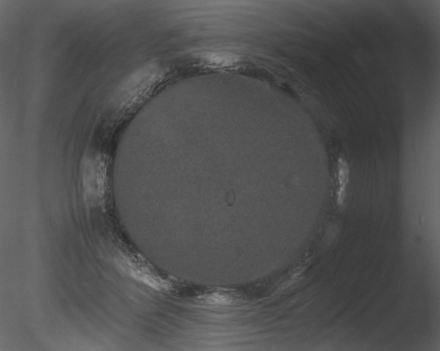 X0000085810412200703161201