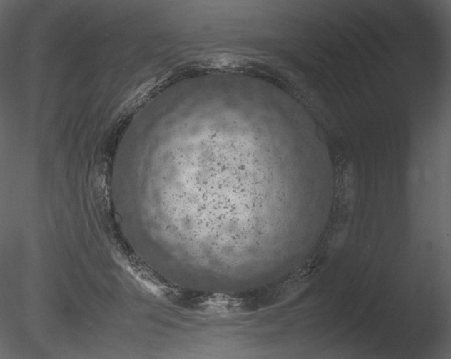 X0000085810415200703161201