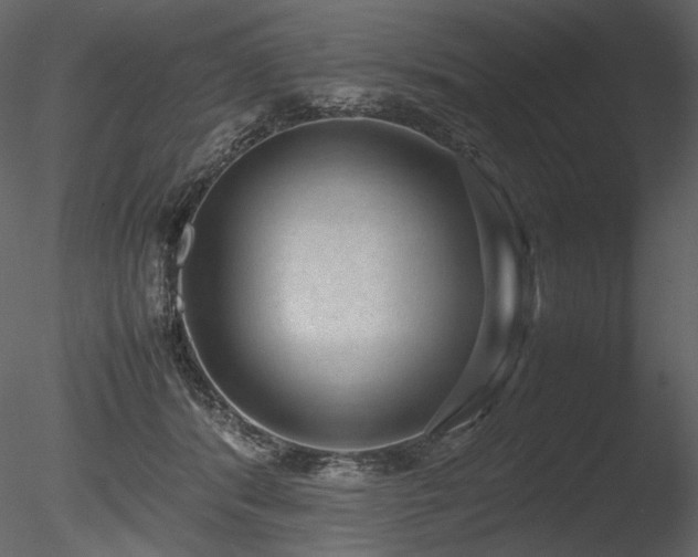 X0000085810416200703161201