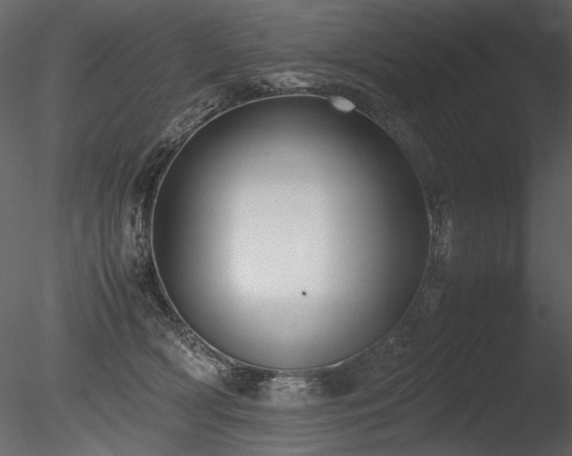 X0000085810418200703161201