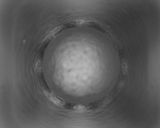 X0000085810419200703161201