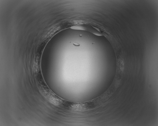 X0000085810422200703161200