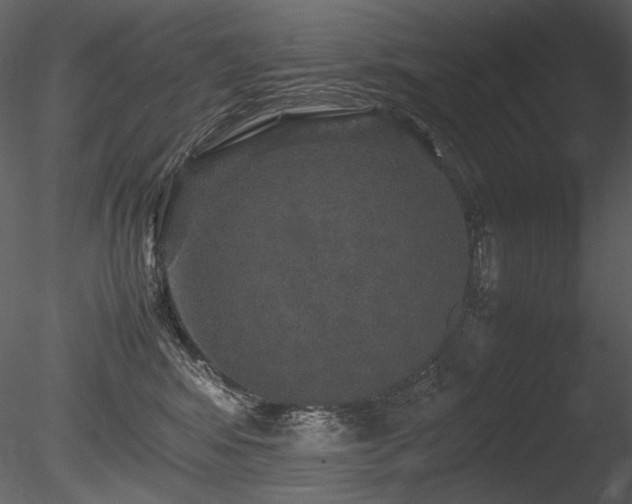 X0000085810424200703161200