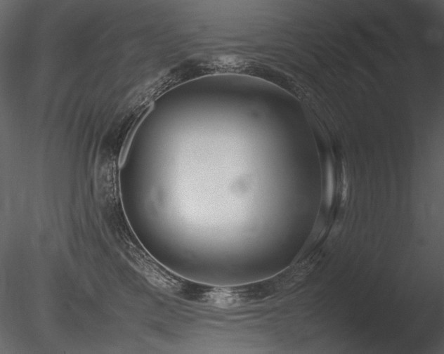 X0000085810425200703161200