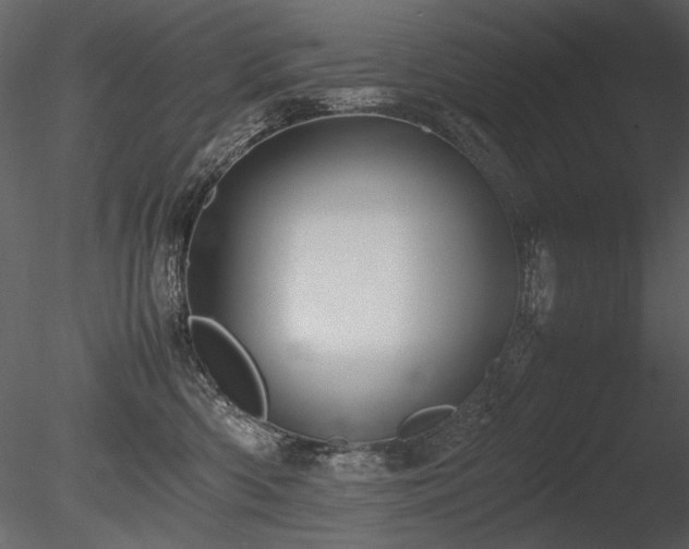 X0000085810426200703161200