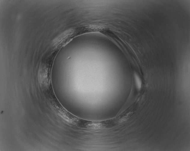 X0000085810428200703161200