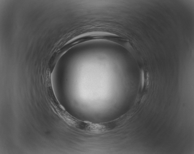 X0000085810429200703161200