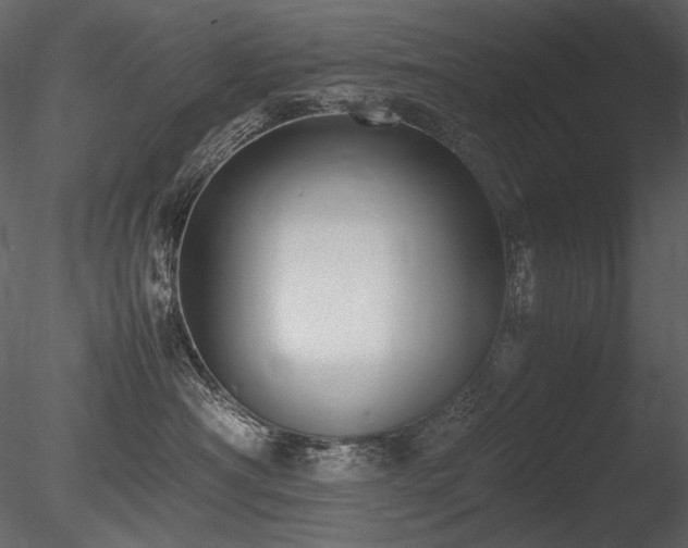 X0000085810430200703161200