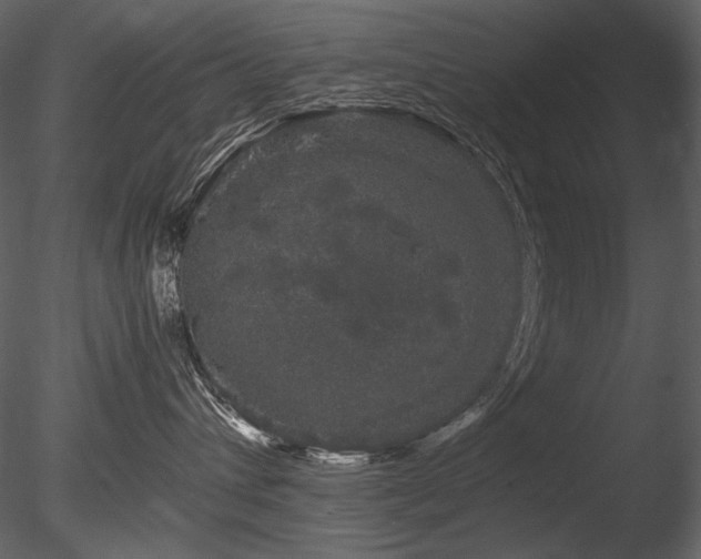 X0000085810432200703161200