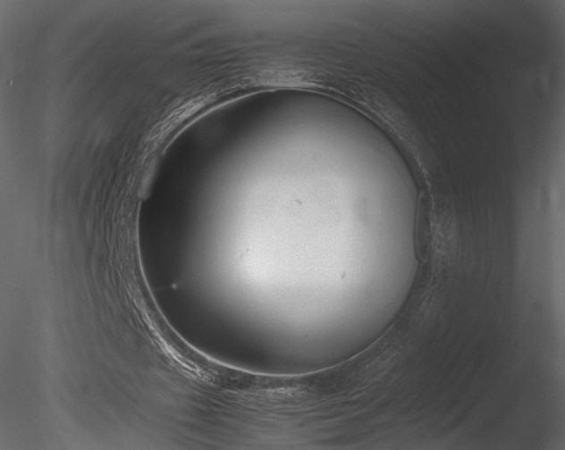 X0000085810433200703161159