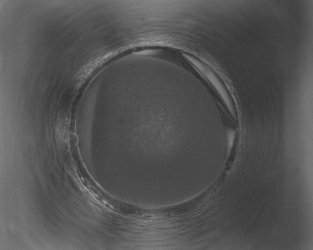 X0000085810434200703161159