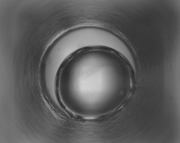 X0000085810436200703161159