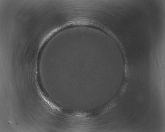 X0000085810438200703161159