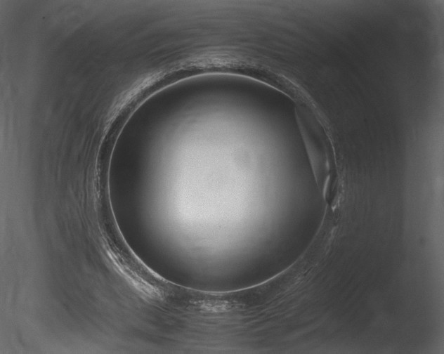 X0000085810439200703161159