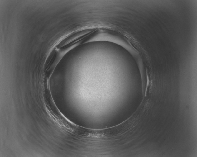 X0000085810440200703161200