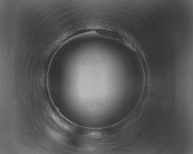 X0000085810441200703161200