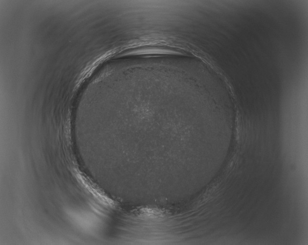 X0000085810442200703161200