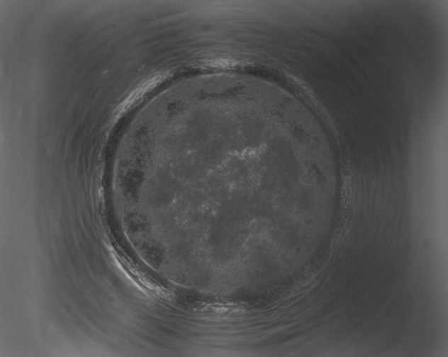 X0000085810443200703161200