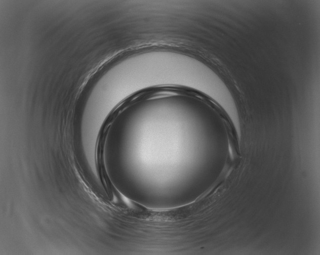 X0000085810444200703161200