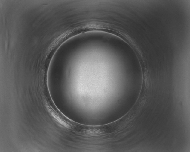 X0000085810445200703161200